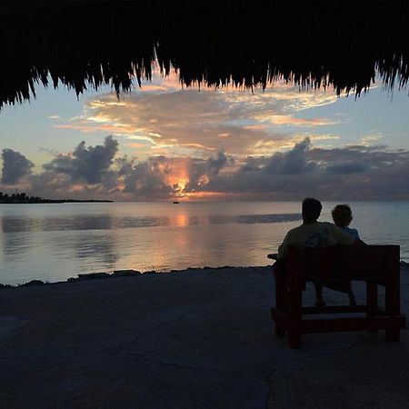 Fiesta Key Rv Resort Standard Room 1 レイトン エクステリア 写真